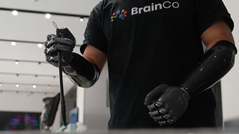 数据湖仓一体架构：构建高效数据处理的基石**